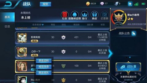 王者荣耀战队如何踢人[图2]