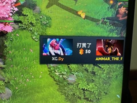 打dota是什么意思