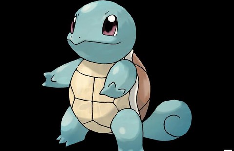 神奇宝贝乌龟叫什么