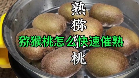 迷你世界怎么催熟植物[图2]