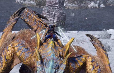 怪物猎人x如何捕获