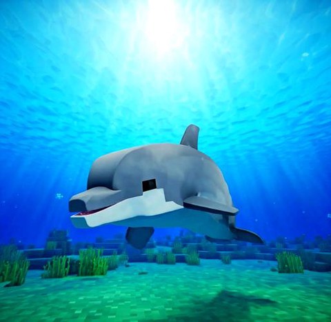 我的世界海豚怎么骑